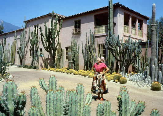 WELCOME TO LOTUSLAND