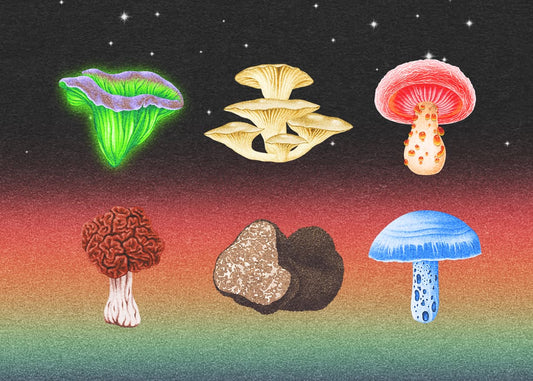 WHICH MUSHROOM YOU’D BE BASED ON YOUR ZODIAC SIGN