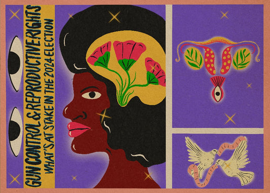 REPRODUCTIVE RIGHTS & GUN CONTROL