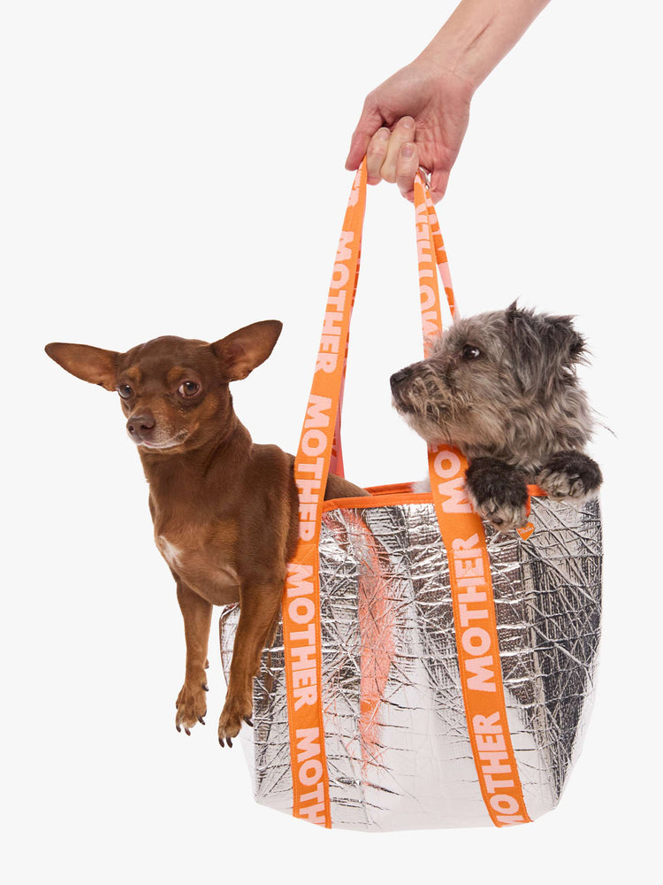 Two small dogs inside a metallic silver thermal tote bag with orange straps.