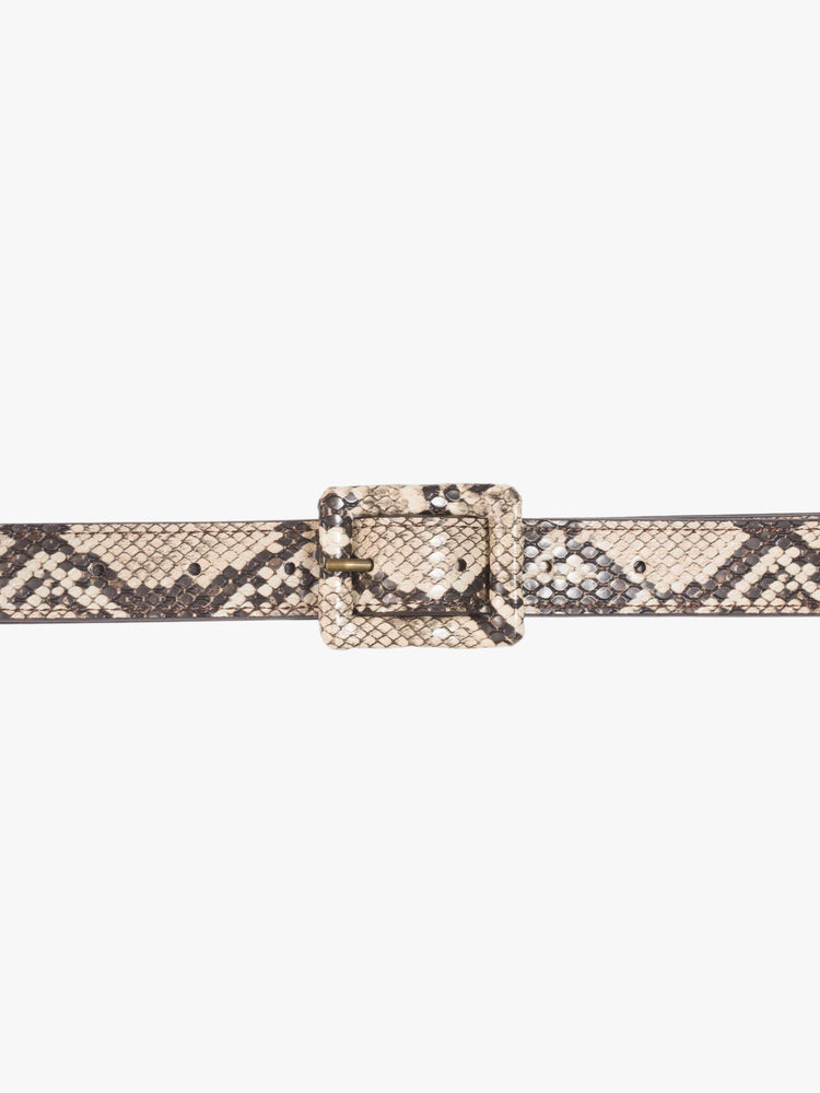 Close up  view of a belt designed in faux snakeskin with an oversized rectangular buckle. 