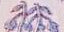 Alix Of Bohemia Ryland Top - Purple Lilac
