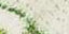Maria Cher Nuria Slip Top - Green Vision